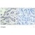 Imunohistochemical analysis of paraffin-embedded human breast carcinoma tissue, using AKT1/AKT2/AKT3 (phospho Y315/316/312) polyclonal antibody ( Cat # PAB7764 ).