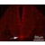 Immunofluorescence analysis of mouse spinal cord, using enpp2 polyclonal antibody ( Cat # PAB8520 ) .