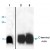 Western blot analysis of Actb polyclonal antibody in Jurkat cell lysate ( Lane 1 ) and rat tissue lysate ( Lane 2 ) .