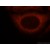 Immunofluorescent analysis of HepG2 cells, using 11648-2-AP and Rhodamine-labeled goat anti-rabbit IgG (red).