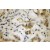 Immunohistochemistry of paraffin-embedded Colon cancer using 10783-1-AP(Bcl-xL Antibody) at Dilution 1:50 (under 40x lens)