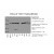 WB result of STAT1 (10144-2-AP) in different cells.