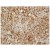 Immunohistochemistry with anti-Prolactin Receptor Monoclonal Antibody SM5033P:Mammary gland tissue from lactating light horse mare (equine) was incubated in SM5033P at 1/100 for 1 hour at 23°C and for 24 hours at 4°C. Second antibody was Biotinylated Goat anti-Mouse IgG at 23°C for 1 hour. Development using avidin-biotin complex 23°C for 1 hour plus 3,3-diaminobenzadine for 15 min and counterstained with haematoxylin. Notes: Antigen retrieval was facilitated using steaming at 95°C for 20 min in Trizma® buffer (pH 10.0) . Blocking endogenous peroxidase performed with 0.3% H2O2 and MeOH (20 min at 23°C). To decrease non-specific staining, tissue was pre-incubated in normal goat serum for 30 min at 23°C.