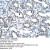 Cytokeratin 18