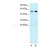Serotonin receptor 1A (HTR1A)