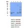 AM09033PU-S
