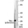 A0758-2