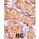 PAB0394