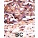 PAB0616