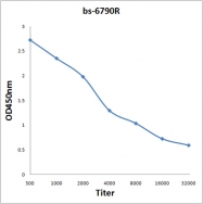 bs-6790R - 14-3-3 protein zeta/delta