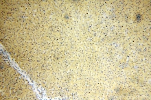 17394-1-AP - AARS