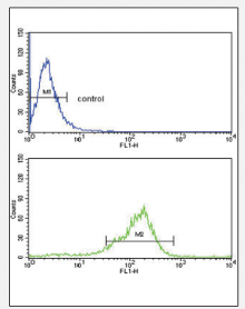 AP18219PU-N - Thrombospondin-1 (THBS1)