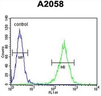 AP52110PU-N - 17-beta-HSD12 / HSD17B12