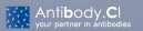 Antibody.cl Antibody.cl