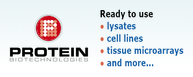 Protein Biotechnologies - Ready to use  lysates, cell lines, tissue microarrays and more...