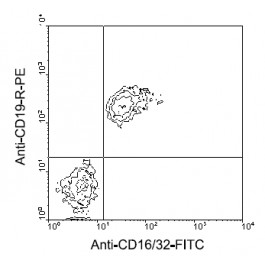 AM08040FC-N