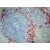 Figure 1. BM4011 CD209b/SIGN-R1 antibody staining of Mouse Spleen Frozen Section.