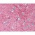 Brain, cortex: Formalin-Fixed Paraffin-Embedded (FFPE)