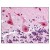 Figure 1. Staining FANCA in Brain, Cerebellum by Immunohistochemistry using Formalin-Fixed Paraffin-Embedded (FFPE) tissue.