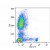 Surface staining of human peripheral blood cells with anti-human CD8 (MEM-31) FITC.