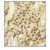 Formalin-fixed and paraffin-embedded human breast carcinoma tissue reacted with HMOF/MYST1 antibody (C-term) (Cat.#AP11149PU-N), which was peroxidase-conjugated to the secondary antibody, followed by DAB staining. This data demonstrates the use of this antibody for immunohistochemistry; clinical relevance has not been evaluated.