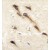 Formalin-fixed and paraffin-embedded human brain tissue reacted with CYP26B1 antibody (C-term), which was peroxidase-conjugated to the secondary antibody, followed by DAB staining.
