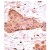 Formalin-fixed and paraffin-embedded human cancer tissue reacted with the primary antibody, which was peroxidase-conjugated to the secondary antibody, followed by AEC staining. This data demonstrates the use of this antibody for immunohistochemistry; clinical relevance has not been evaluated.