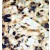 Formalin-fixed and paraffin-embedded human cancer tissue reacted with the primary antibody, which was peroxidase-conjugated to the secondary antibody, followed by DAB staining.