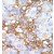Formalin-fixed and paraffin-embedded human cancer tissue reacted with the primary antibody, which was peroxidase-conjugated to the secondary antibody, followed by DAB staining.
