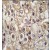 Formalin-fixed and paraffin-embedded human hepatocarcinoma tissue reacted with CYP2C9 antibody (Center), which was peroxidase-conjugated to the secondary antibody, followed by DAB staining.