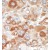 Formalin-fixed and paraffin-embedded human cancer tissue reacted with the primary antibody, which was peroxidase-conjugated to the secondary antibody, followed by DAB staining.