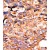 Formalin-fixed and paraffin-embedded human cancer tissue reacted with the primary antibody, which was peroxidase-conjugated to the secondary antibody, followed by AEC staining.