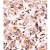 Formalin-fixed and paraffin-embedded human cancer tissue reacted with the primary antibody, which was peroxidase-conjugated to the secondary antibody, followed by AEC staining. This data demonstrates the use of this antibody for immunohistochemistry; clinical relevance has not been evaluated.