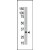 The anti-MAGEA6 C-term Antibody is used in Western blot to detect MAGEA6 in A549 lysate.