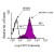 Immunofluorescent Staining: Thymocytes from a young chicken were isolated and incubated with purified Mouse anti-Chicken MCAM. The
cells were then stained with Goat anti-Mouse IgG2b-FITC and analyzed on a FACScan(TM) flow cytometer (BDB, San Jose, CA). Amount Used: 1 µg/10e6 cells.