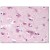 Brain, cortex: Formalin-Fixed Paraffin Embedded (FFPE)