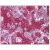 Liver: Formalin-Fixed Paraffin-Embedded (FFPE)