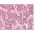 Liver: Formalin-Fixed Paraffin-Embedded (FFPE)
