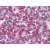 Pancreas: Formalin-Fixed Paraffin-Embedded (FFPE)