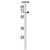 Western blot analysis of RBM14 Antibody (Center) (AP18178PU-N) in Jurkat cell line lysates (35ug/lane). RBM14 (arrow) was detected using the purified Pab.