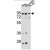 Western blot analysis of IMMT Antibody (Center) (AP17502PU-N) in Hela, NCI-H460, CEM cell line lysates (35ug/lane). IMMT (arrow) was detected using the purified Pab.