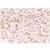 Figure 3. Immunohistochemical detection of CDC7 on Paraffin Embedded Section of Human Tonsil (germinal center) with CDC7 antibody (AM20025AF-N).