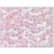 Immunohistochemistry: AM01230PU-N SOD1 antibody staining of Formalin-Fixed, Paraffin-Embedded Human Liver at 15 µg/ml followed by biotinylated anti-mouse IgG secondary antibody, alkaline phosphatase-streptavidin and chromogen.
