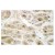 Immunohistochemistry: AP20423PU-N LIMK2 antibody staining of Paraffin-Embedded Human brain tissue.