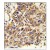 Immunohistochemistry: AP17923PU-N CAT Antibody staining of Formalin-Fixed, Paraffin-Embedded Human Lung carcinoma. This antibody was peroxidase-conjugated to the secondary antibody, followed by DAB staining. Clinical relevance has not been evaluated.