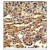 AP17071PU-N ABCG1 Antibody staining of Formalin-fixed and paraffin-embedded human hepatocarcinoma using peroxidase followed by DAB staining.