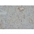 Immunohistochemistry on Rat cardiac muscle