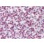 Human Spleen: Formalin-Fixed, Paraffin-Embedded (FFPE)