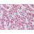 Human Liver: Formalin-Fixed, Paraffin-Embedded (FFPE)