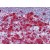 Human Tonsil: Formalin-Fixed, Paraffin-Embedded (FFPE)
